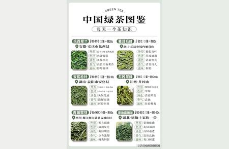 中国绿茶大全：珍藏版，逐步提升你的知识库！