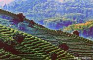 2021年长兴紫笋茶文化之旅在西安展开，唐茶交流会同步进行