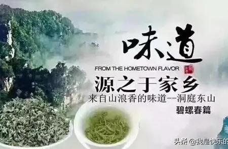2024年春，碧螺春新茶盛大登场：来自苏州洞庭东山的顶级名茶！